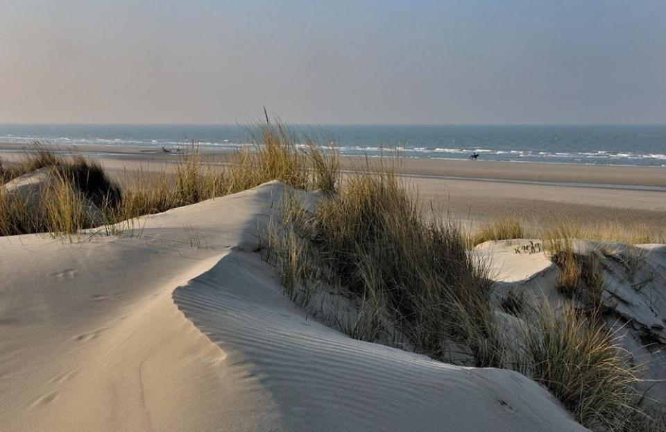 L Imperatrice Bed and Breakfast Berck Eksteriør billede